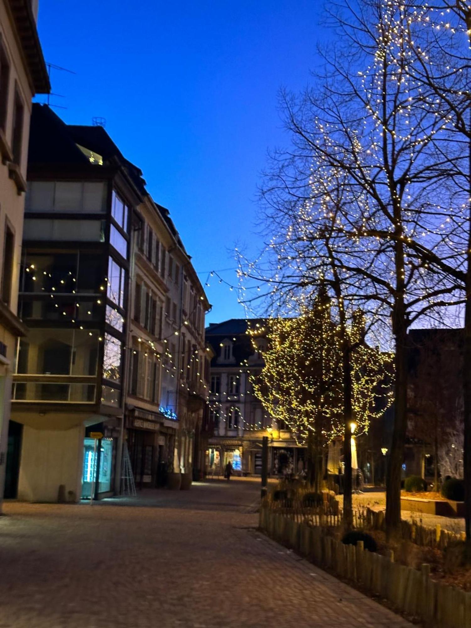 Le Muscat Apartment Colmar Luaran gambar