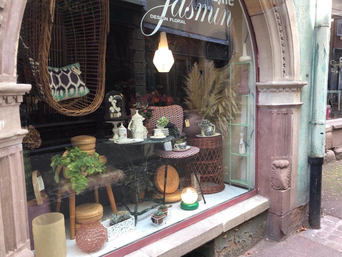 Le Muscat Apartment Colmar Luaran gambar